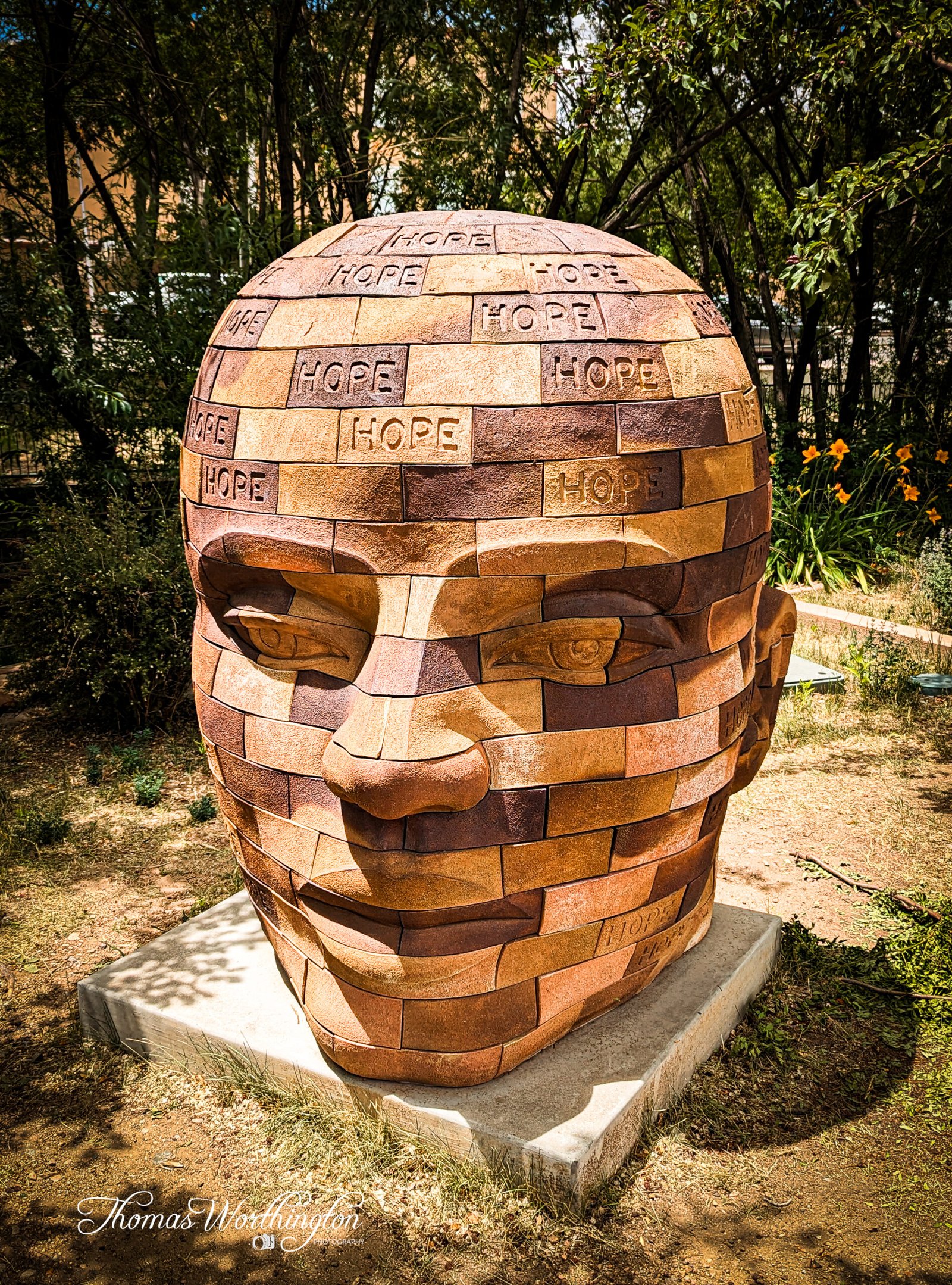 PXL_20230710_181834676