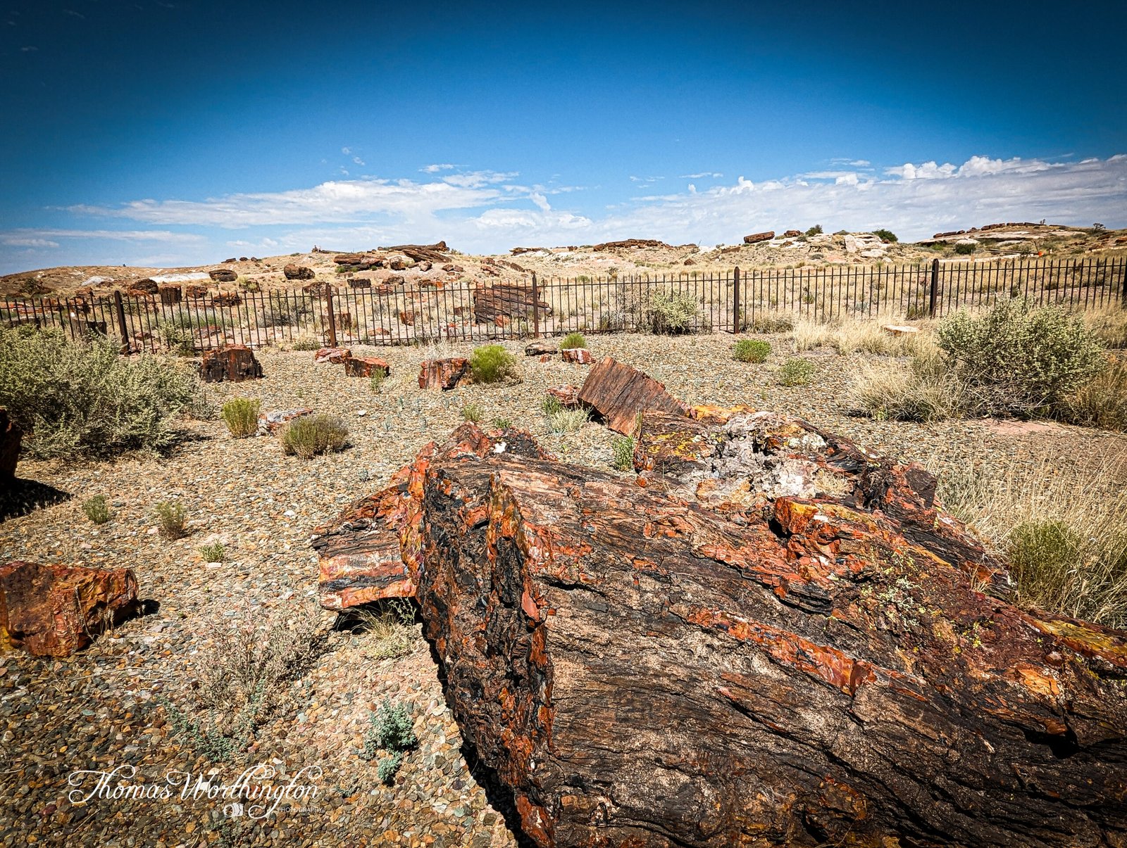 PXL_20230711_164413082