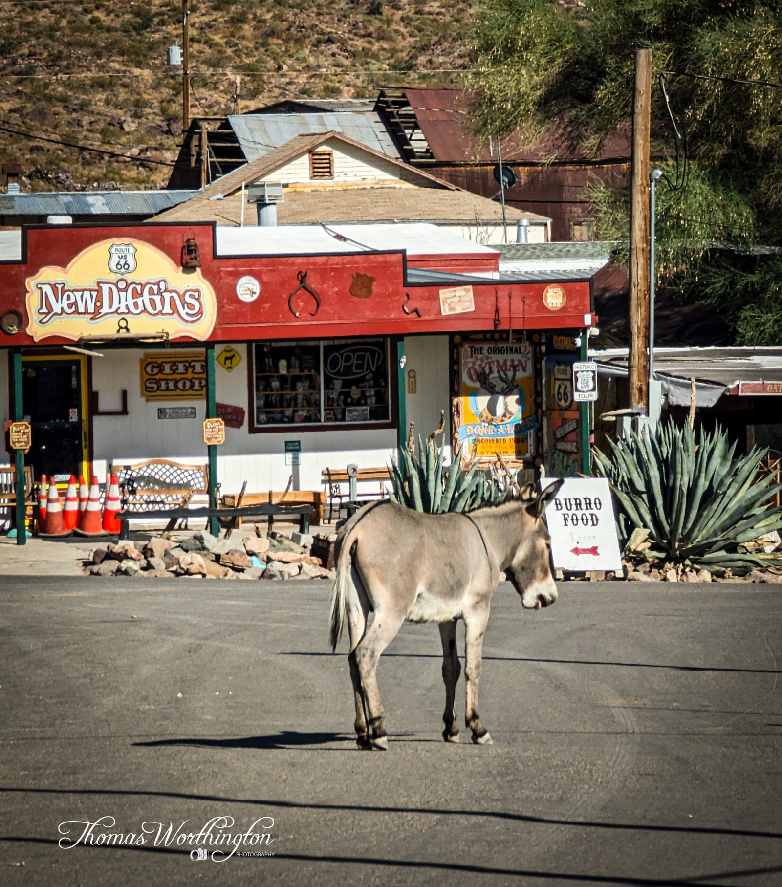 PXL_20230712_001122105