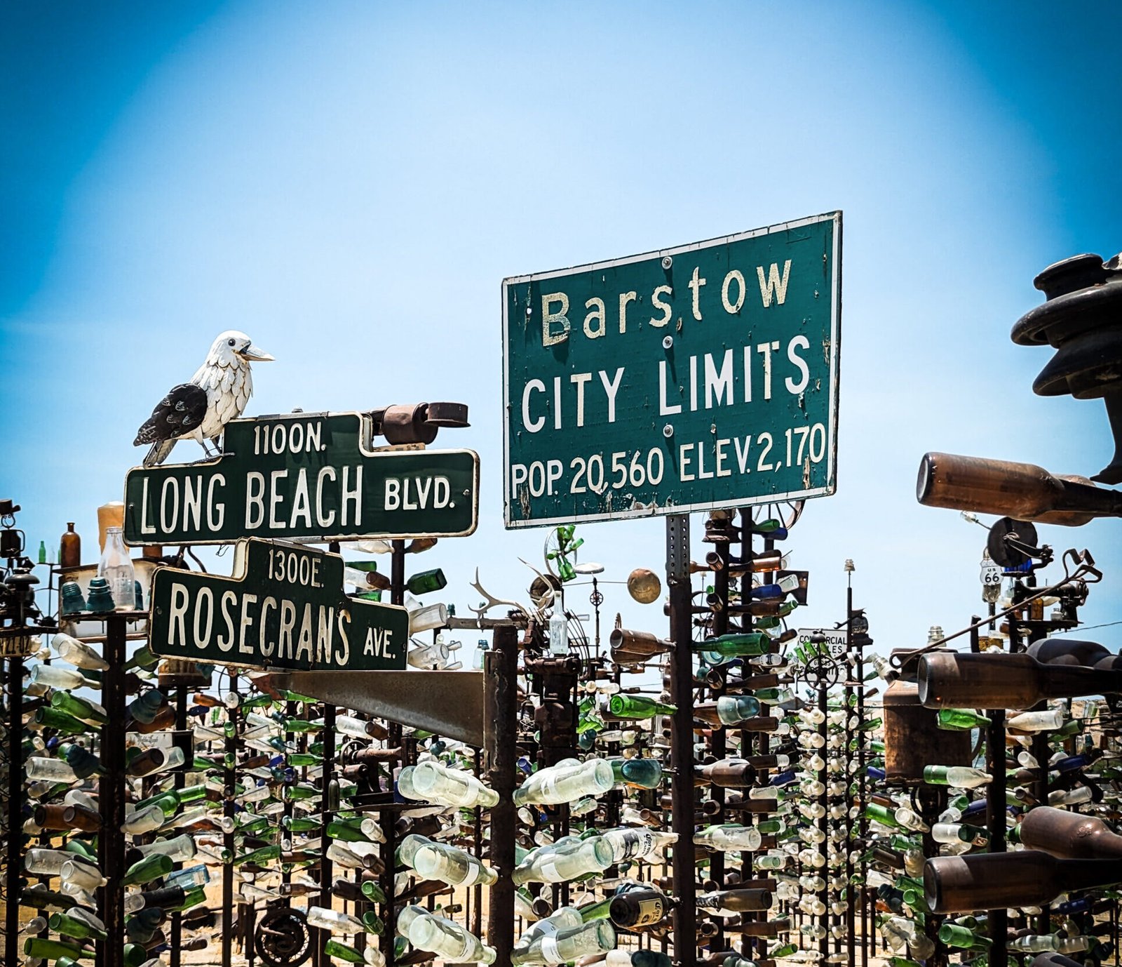 PXL_20230712_194017482